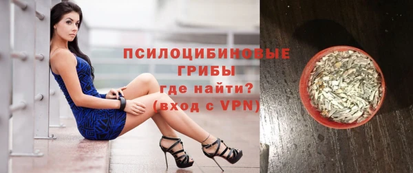 стафф Щучье